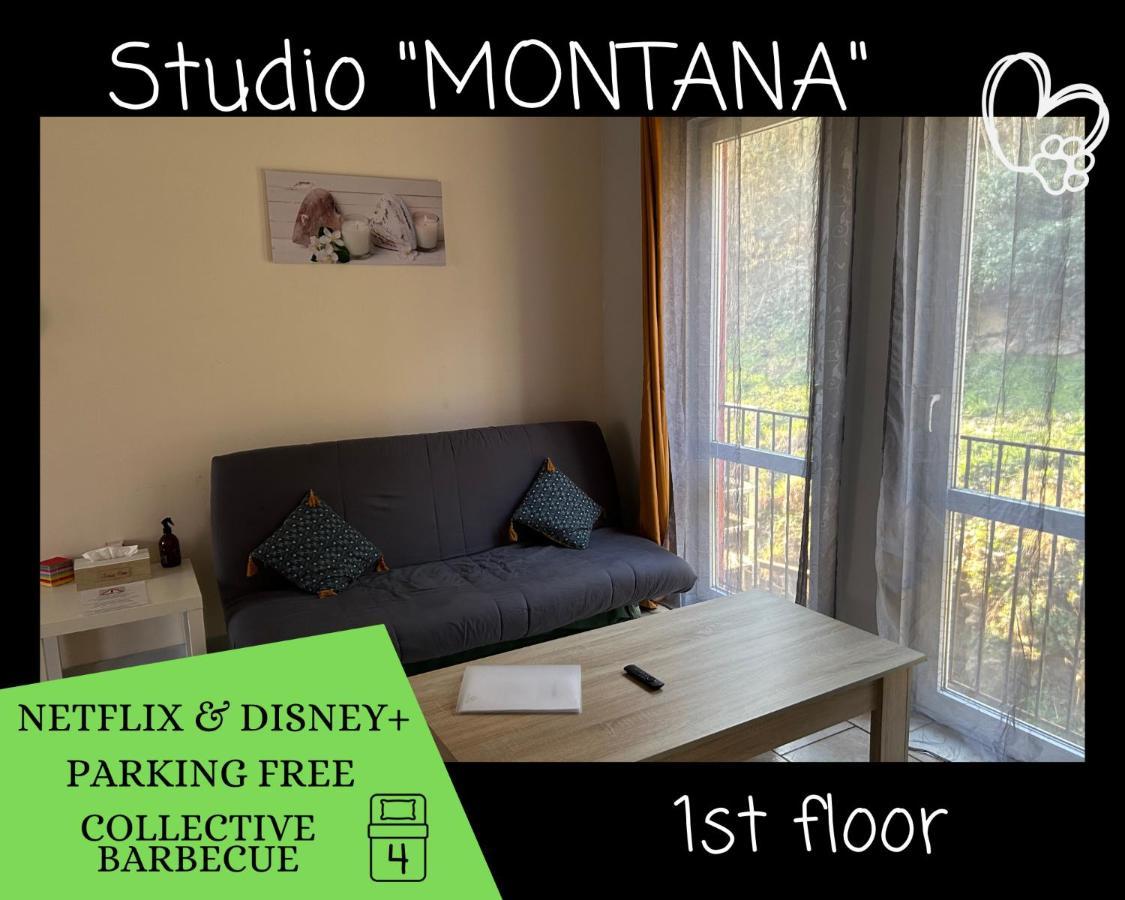 L'Arizona Dinant - Studio Montana - Barbecue, Free Parking, Dog Ok المظهر الخارجي الصورة